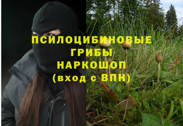 соль курить ск Заволжье
