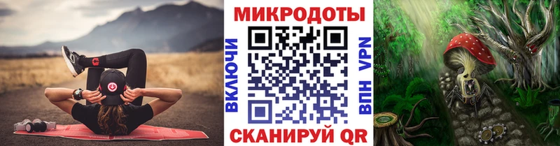 Псилоцибиновые грибы Psilocybine cubensis  Теберда 